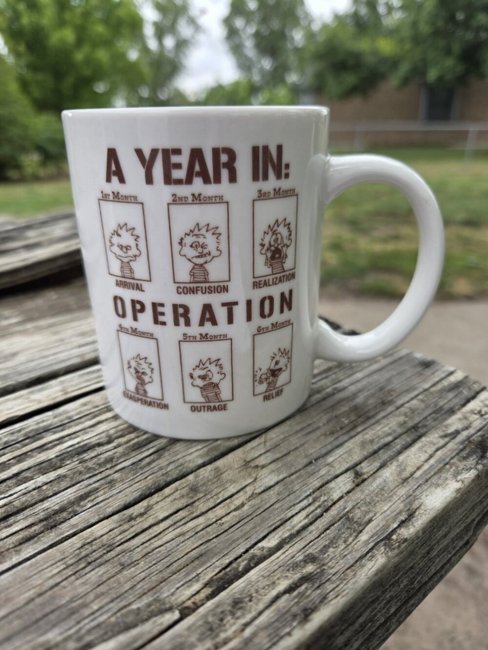 Rare Calvin & Hobbes Operation Iraqi Freedom Coffee Mug Military War Vintage